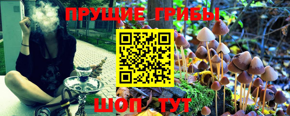Псилоцибиновые грибы мицелий  Вход с VPN  Кимры 